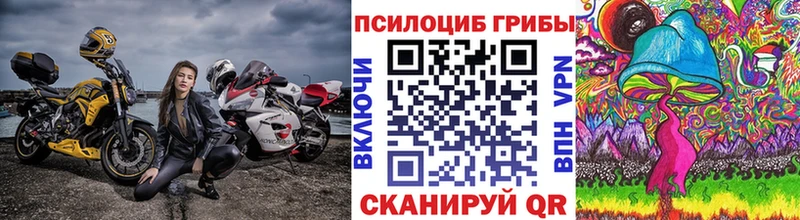 Псилоцибиновые грибы GOLDEN TEACHER  купить наркоту  Чадан 