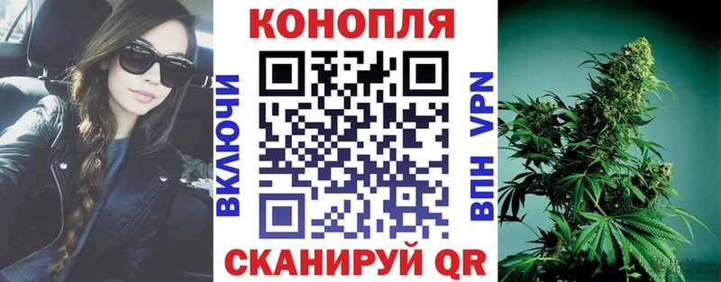 omg онион Чадан Бошки Шишки конопля
